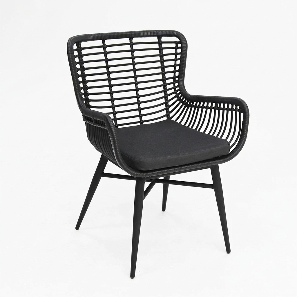 Astrid Dining Chair - Black — studio view
