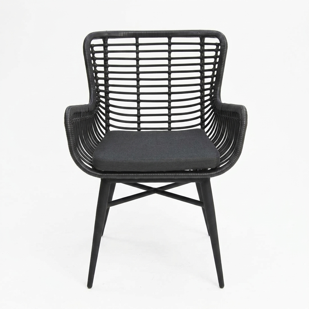 Astrid Dining Chair - Black — front view