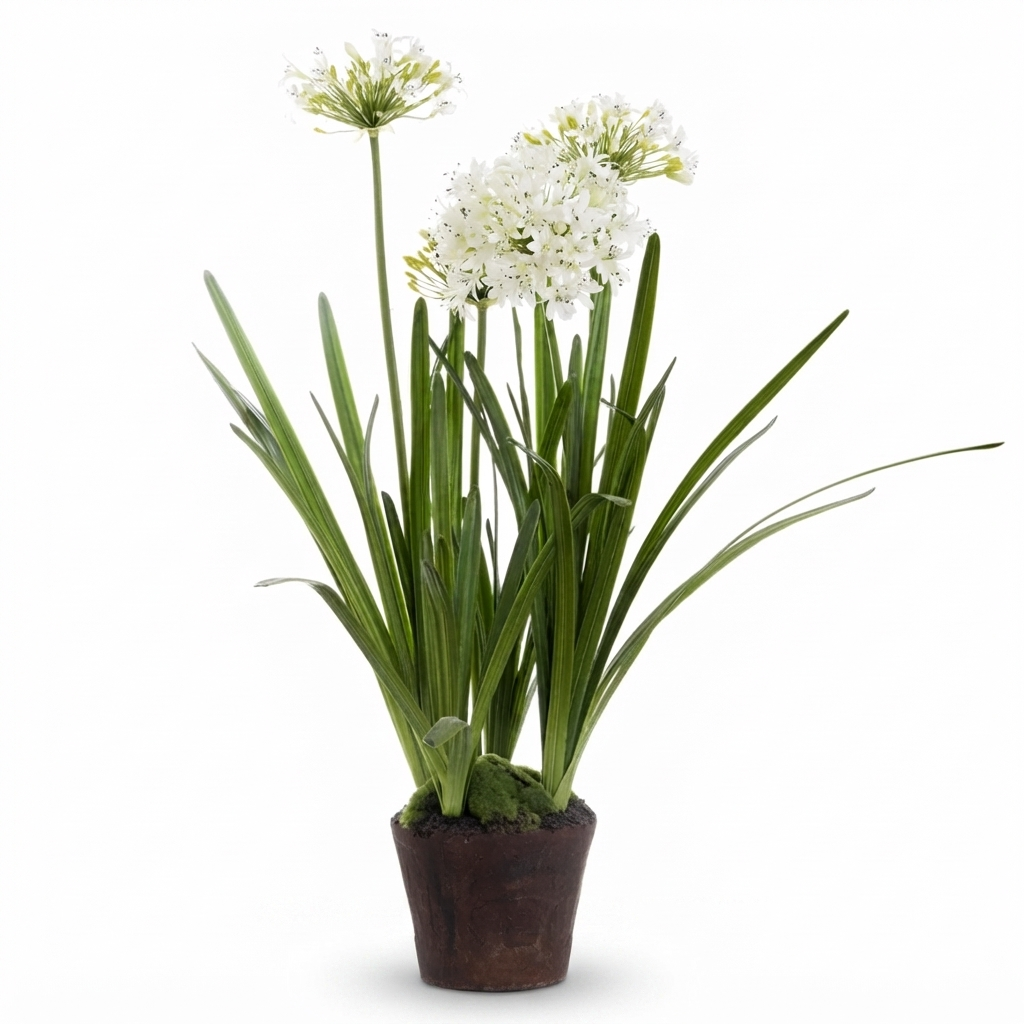 Agapanthus in Paper Pot White - Artificial Plant — front view