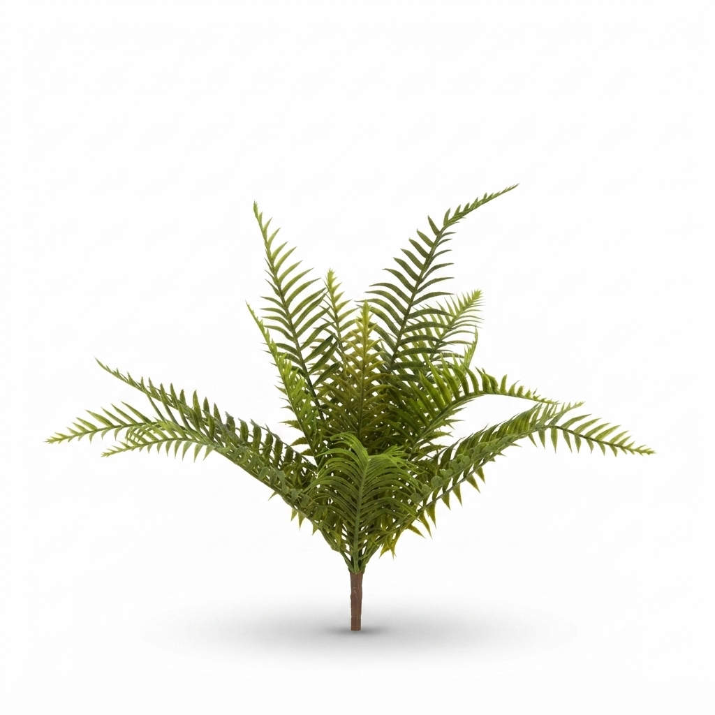 Boston Fern Bush 45cm — side view