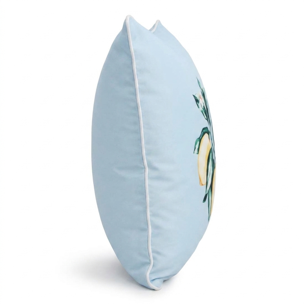 Citrus Blue 45x45cm Outdoor Cushion — side view