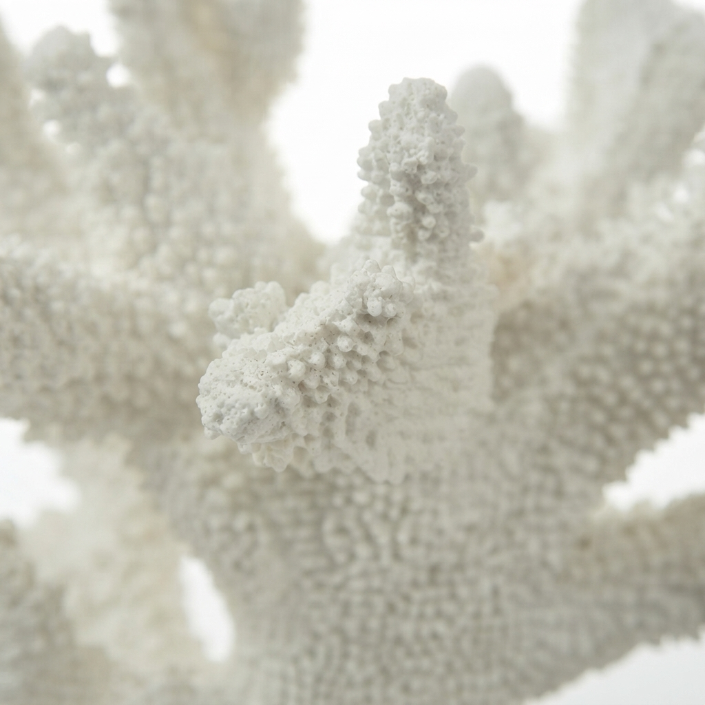 Anenome Coral Resin Sculpture White — detail close-up