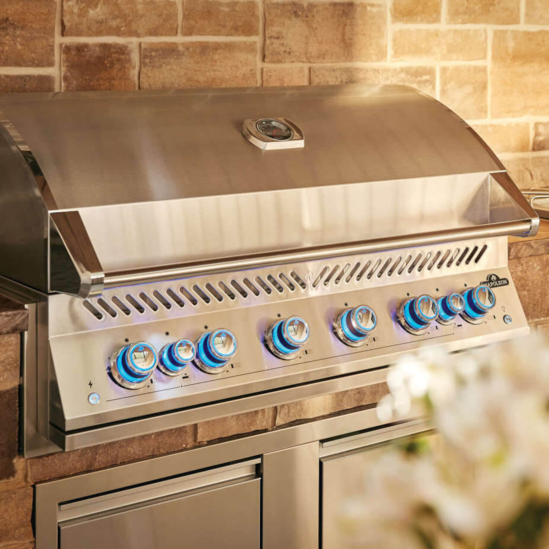 Napoleon Built in 700 Series LPG 44" with Rear Burner + Lights - BIG44RBIPSS-1-AU