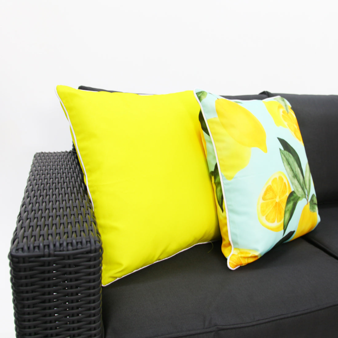 Banksia Dallas 211CT - Black