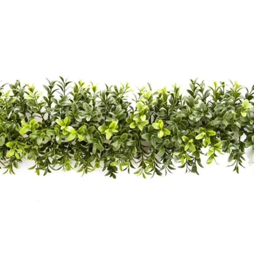 Boxwood Garland - (1.8m)