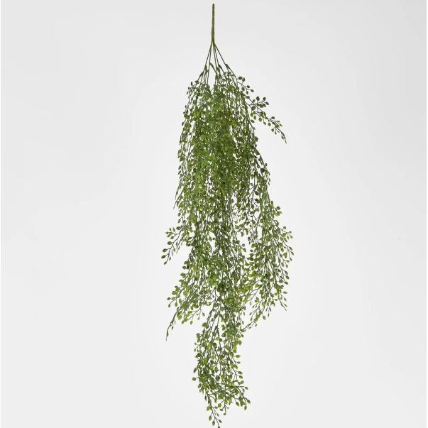 Light Green Hanging Boxwood