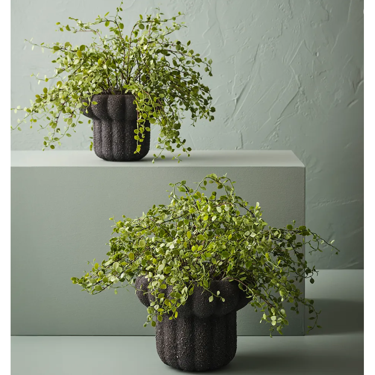 Maidenhair Vine Plant - Artificial Plant