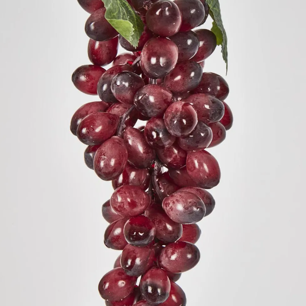 Purple Black Grape Bunch with 85 Grapes