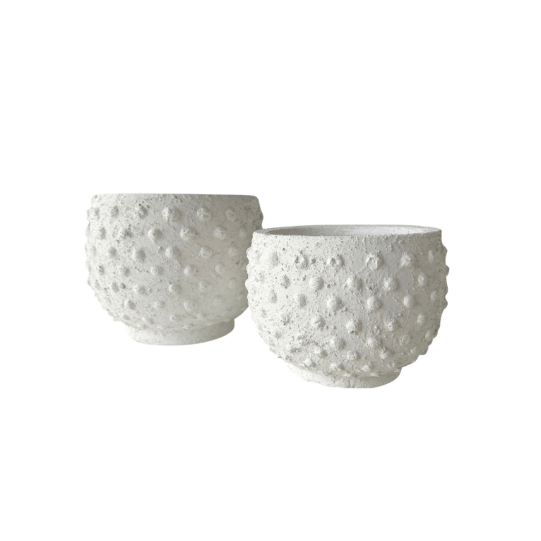 Sandy Spot Plant Pot