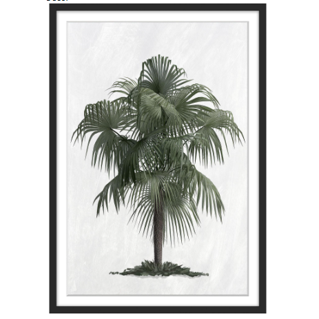 Palm Cove Print 103 x 73cm