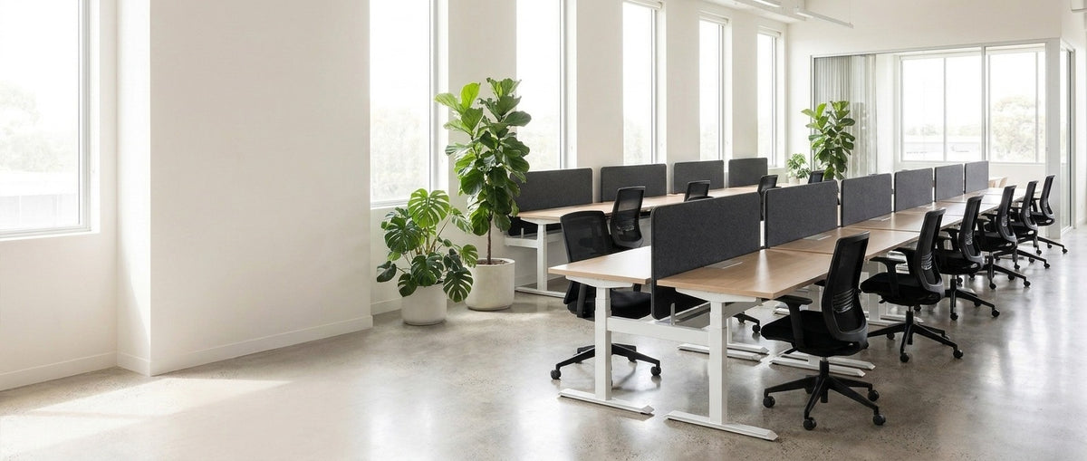 Large open-plan office fitted with rows of sit-stand workstations