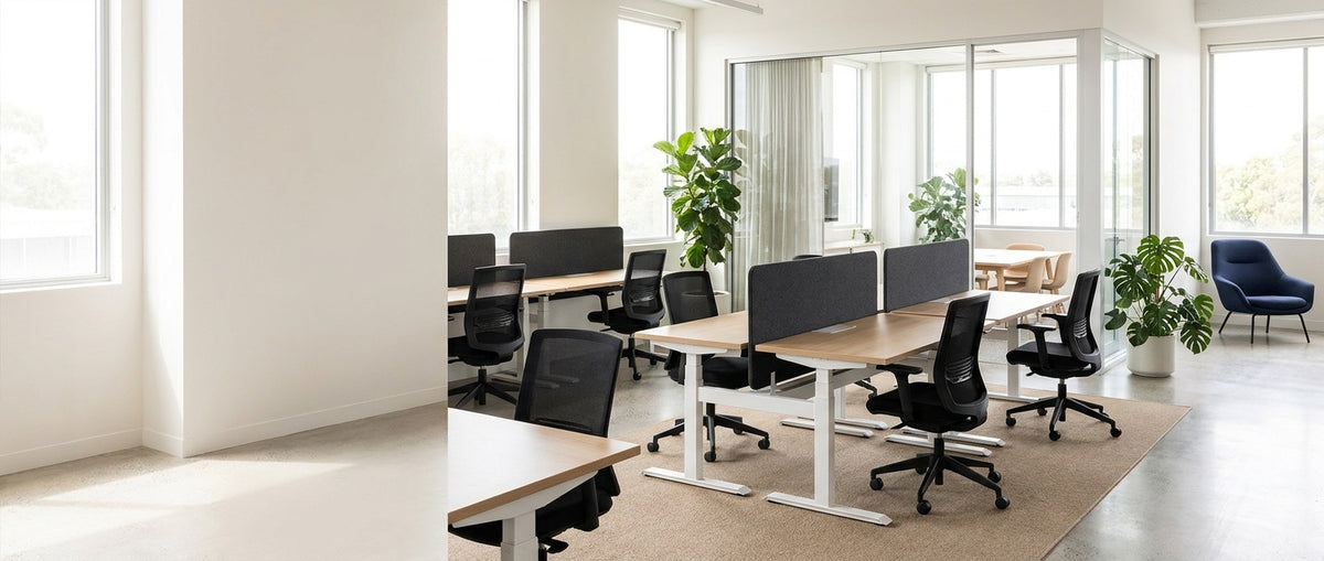 Bright open-plan office with sit-stand workstations, mesh chairs and a meeting room