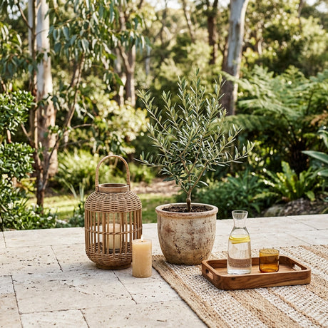 Outdoor decor vignette with lantern, planter and rug