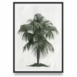 Palm Cove Print 103 x 73cm — studio view