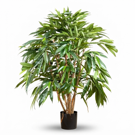 Royal Longfolia - Artificial Plant (90cm) — studio view