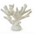 Anenome Coral Resin Sculpture White — studio view