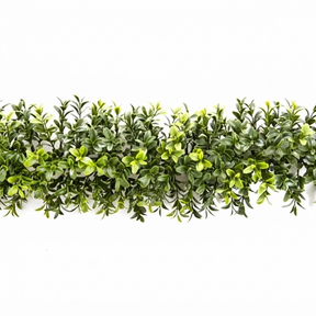 Boxwood Garland - (1.8m) — studio view