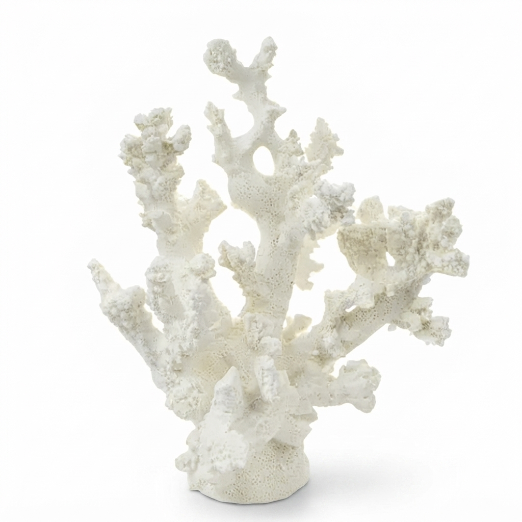 Anenome Coral Resin Sculpture White Small — studio view