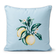 Citrus Blue 45x45cm Outdoor Cushion — studio view