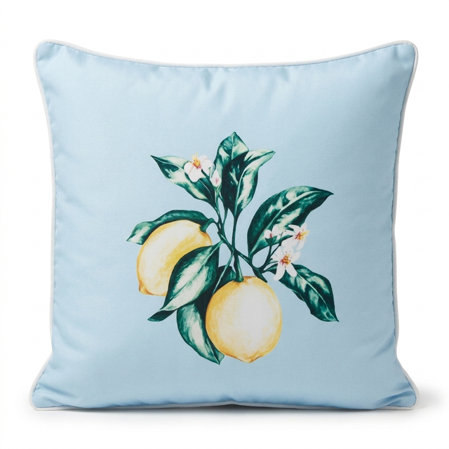 Citrus Blue 45x45cm Outdoor Cushion — studio view