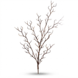 Twig Branch 1.25cm — studio view