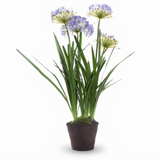 Agapanthus in Paper Pot Lavender - Artificial Plant — studio view