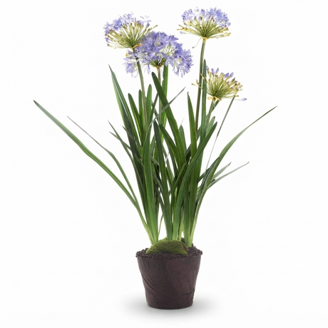 Agapanthus in Paper Pot Lavender - Artificial Plant — studio view