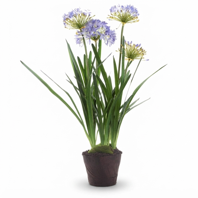 Agapanthus in Paper Pot Lavender - Artificial Plant — studio view
