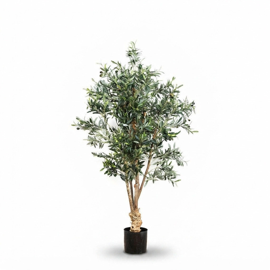 Olive Tree - Artificial Plant (150cm) — studio view