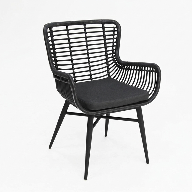 Astrid Dining Chair - Black — studio view
