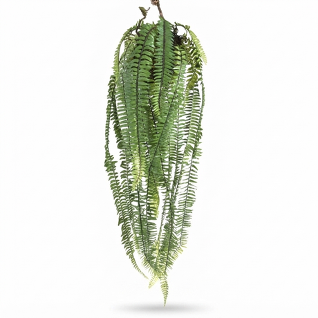 Large Hanging Fern - Green (100cm) — studio view