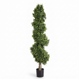 Z Boxwood Spiral Tree - Artificial Plant (190cm) — studio view