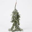 Hanging Staghorn Leaf Bunch — studio view