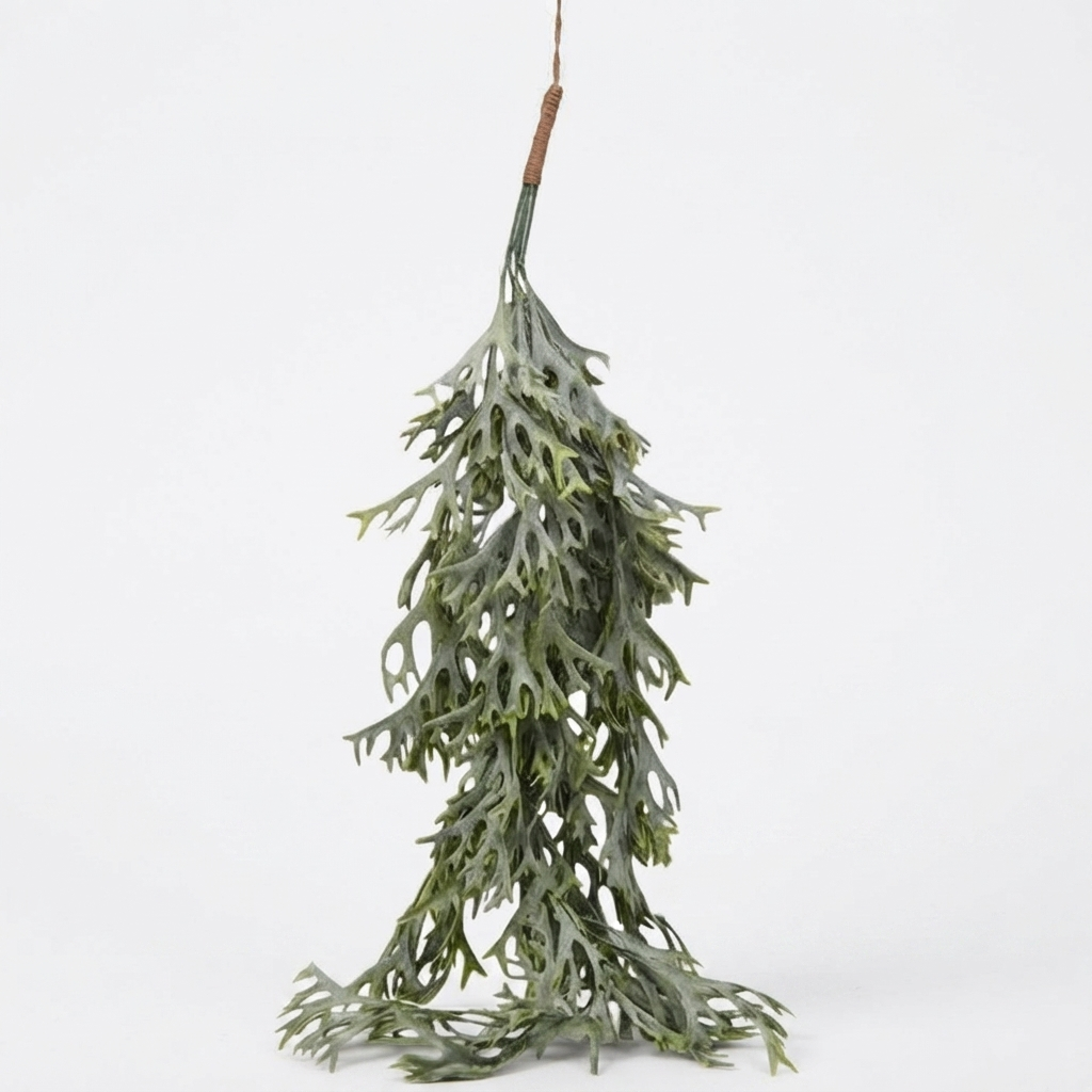Hanging Staghorn Leaf Bunch — studio view
