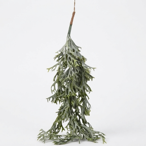 Hanging Staghorn Leaf Bunch — studio view