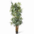 Raphis Palm - Artificial Plant (240cm) — studio view