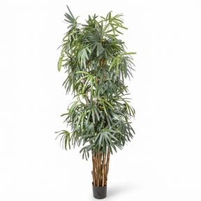 Raphis Palm - Artificial Plant (240cm) — studio view