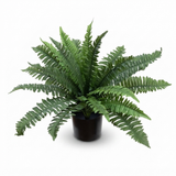 Boston Bush in Pot 40cm - Artificial Plant — studio view