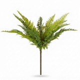 Native Fern Green — studio view