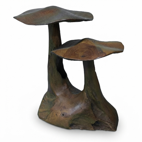 Teak Mushroom Joined — studio view