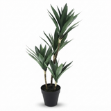 Yucca Quad Pot 66cm — studio view