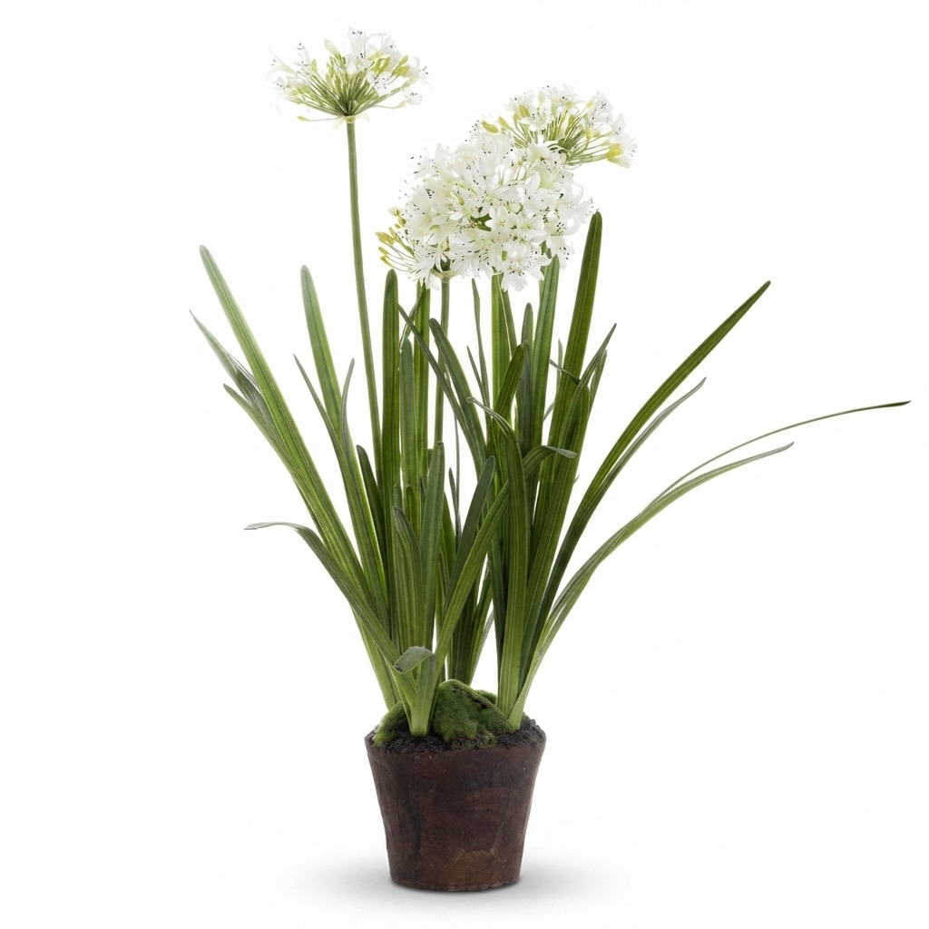 Agapanthus in Paper Pot White - Artificial Plant — studio view