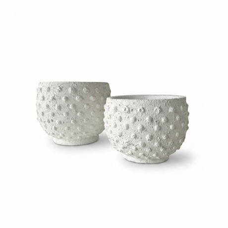 Sandy Spot Plant Pot — studio view