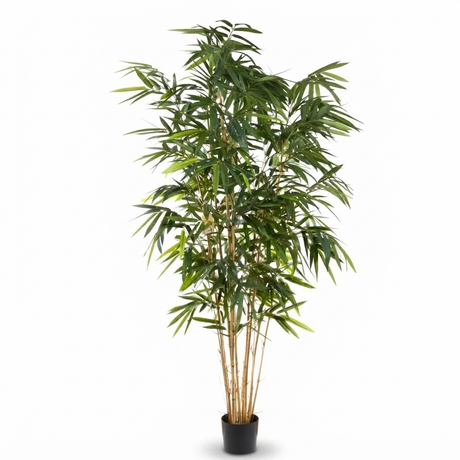 Giant Bamboo Tree - Artificial Plant (240cm) — studio view