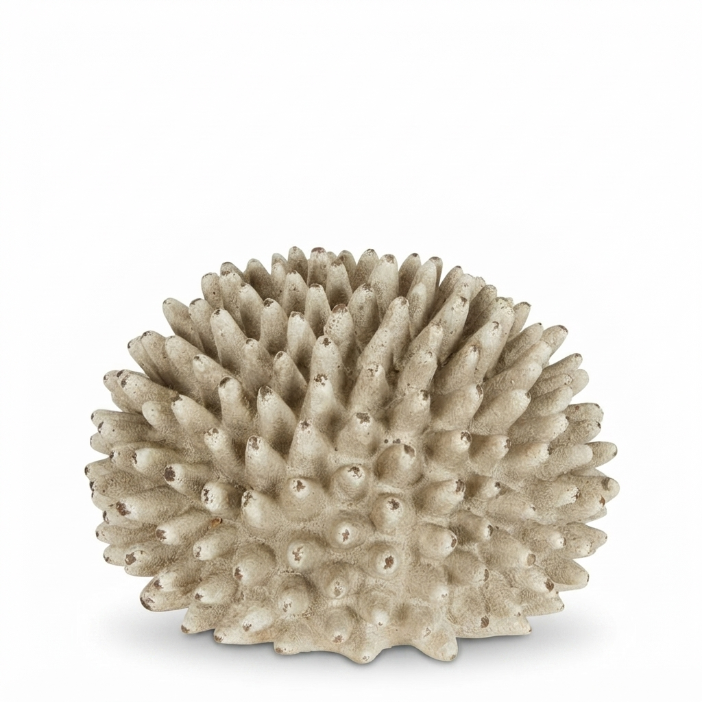 Rustic Urchin Flower — studio view