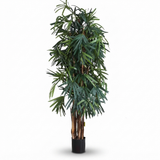 Raphis Palm Thin Leaf - Artificial Plant (200cm) — studio view