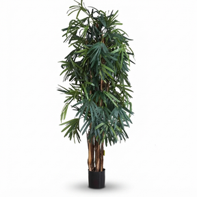 Raphis Palm Thin Leaf - Artificial Plant (200cm) — studio view