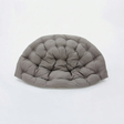 Kakadu Cushion Mushroom — studio view