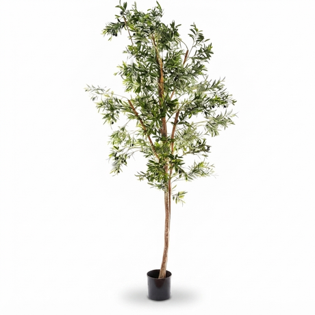Olive Tree - Artificial Plant (240cm) — front view