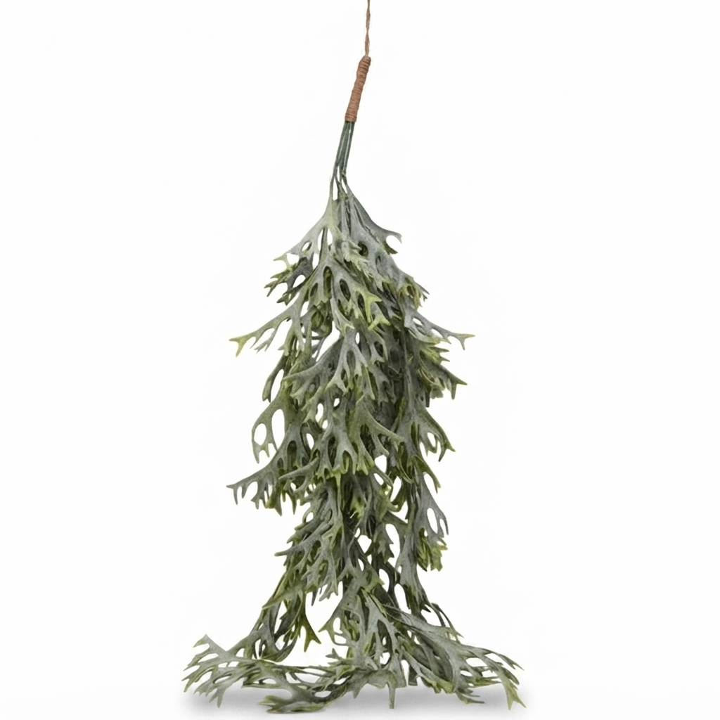 Hanging Staghorn Leaf Bunch — front view